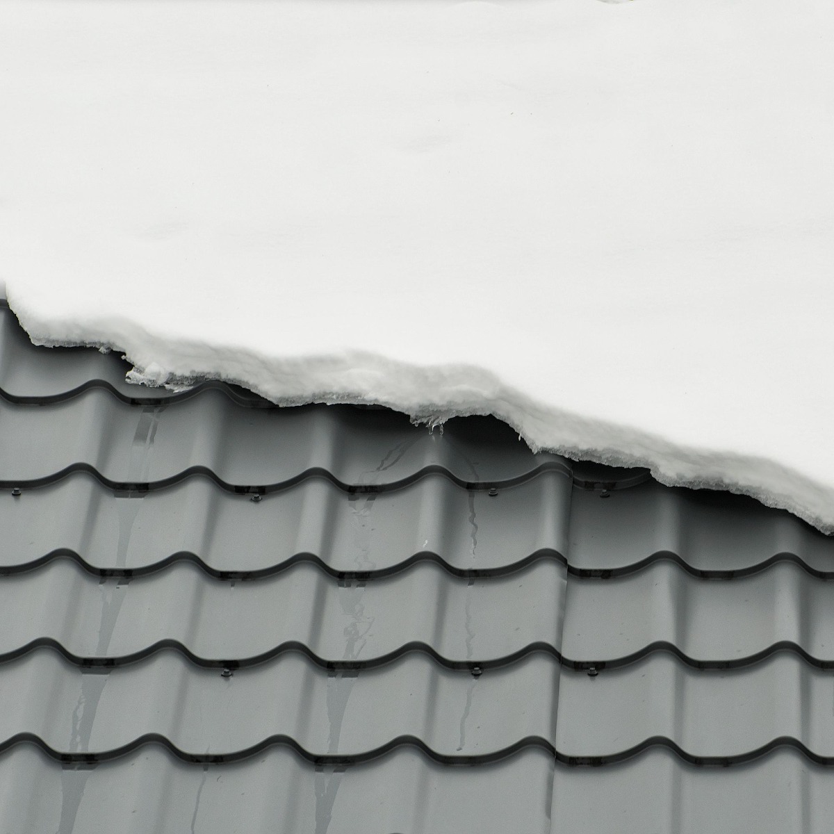 snow on metal roof