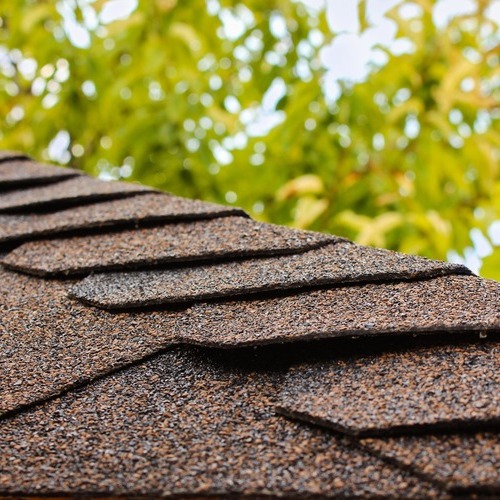 close-up of a shingle roof