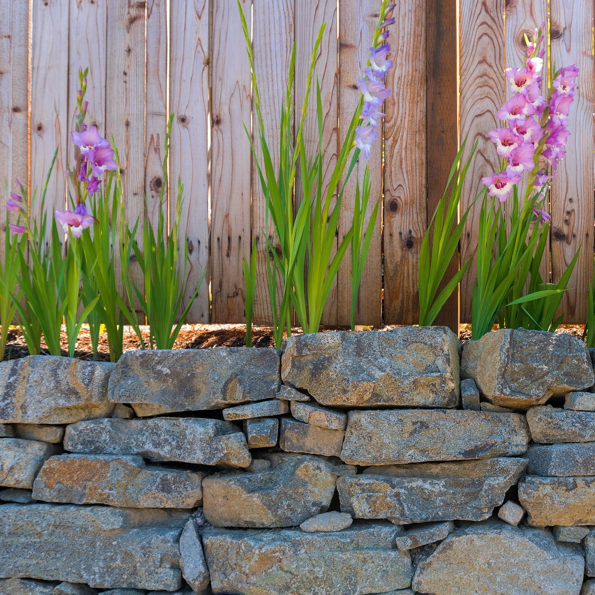 flowers blooming along natural stone retaining wall